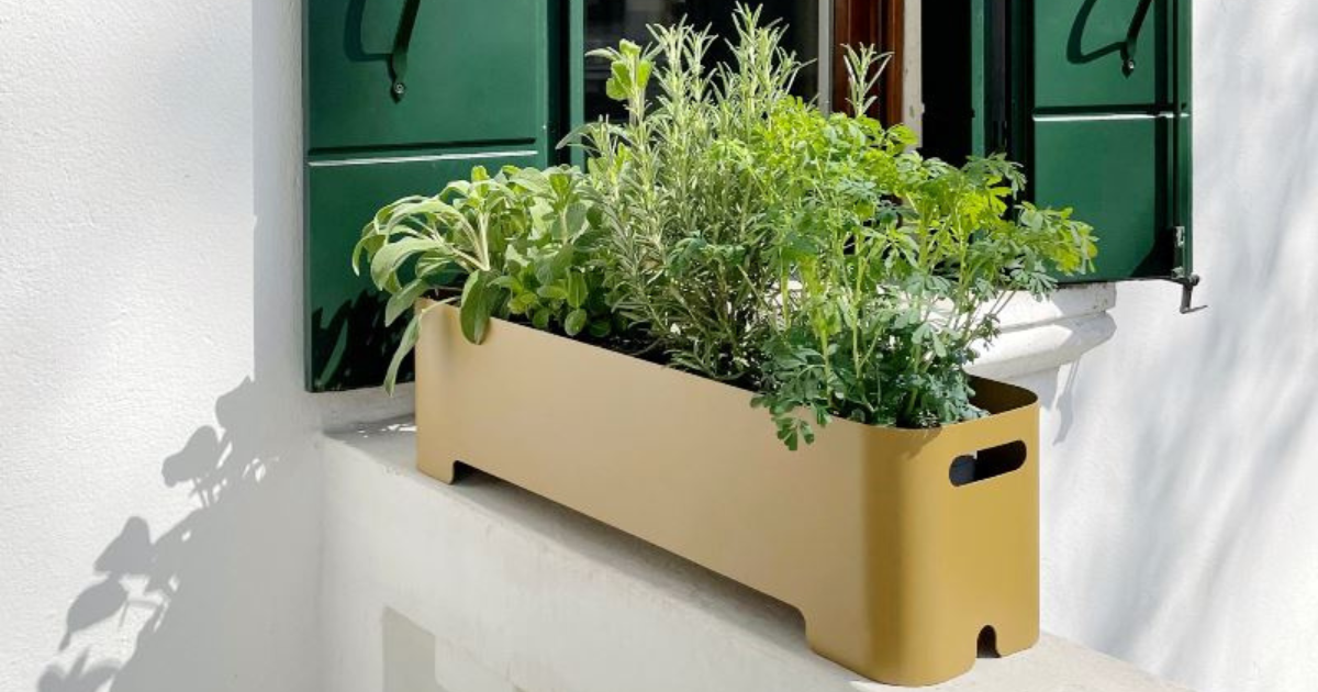 mini giardini pensili