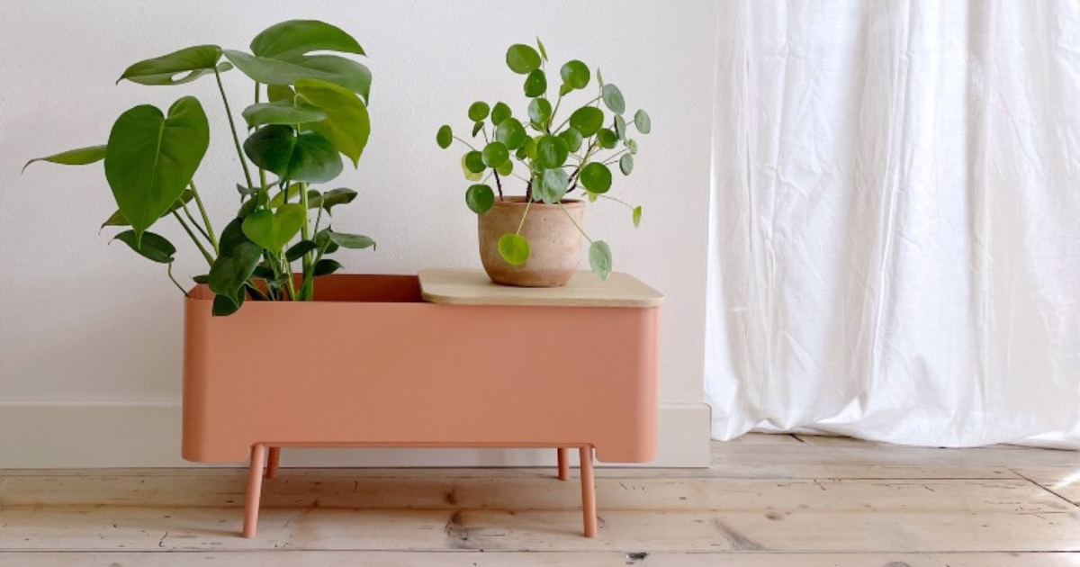 arredare casa con le piante