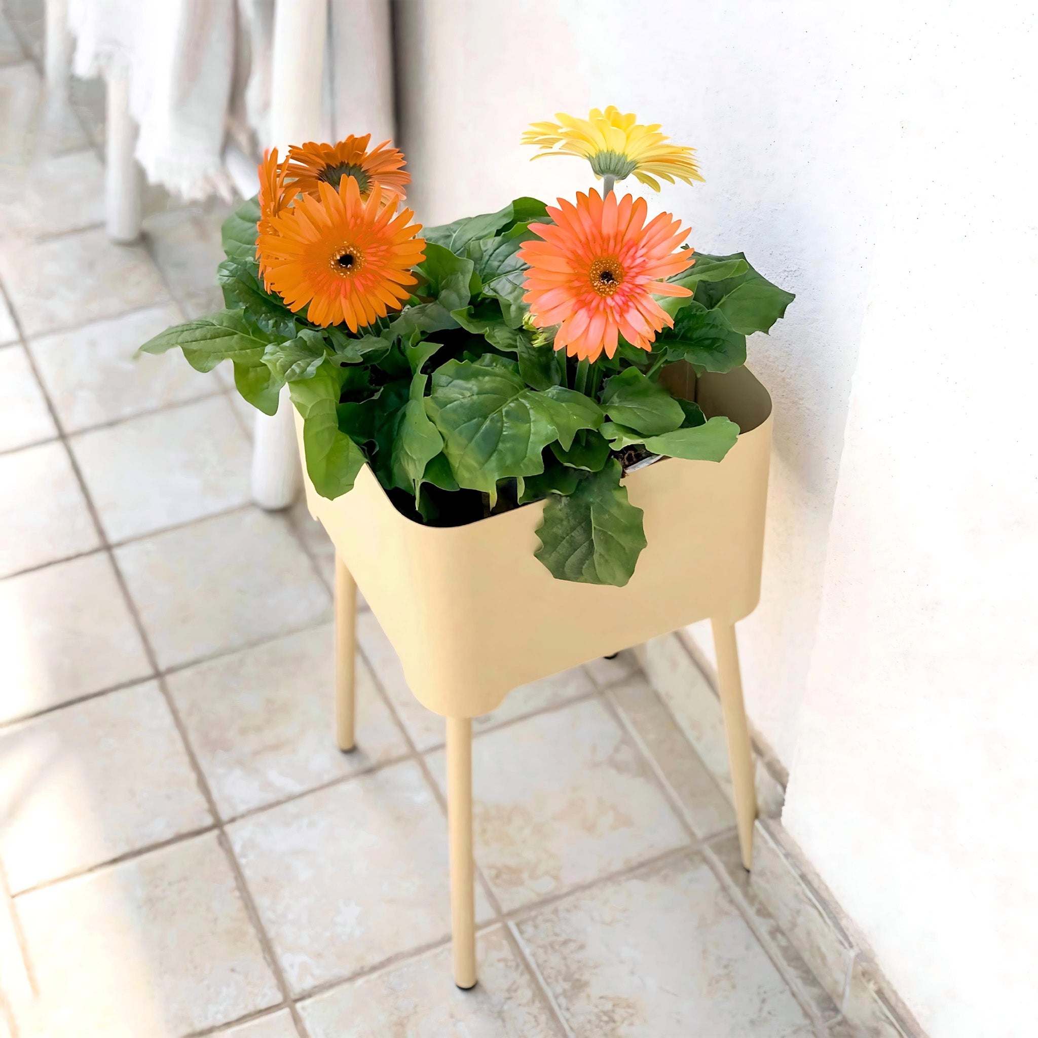 Square Altea - Set of planters and tray