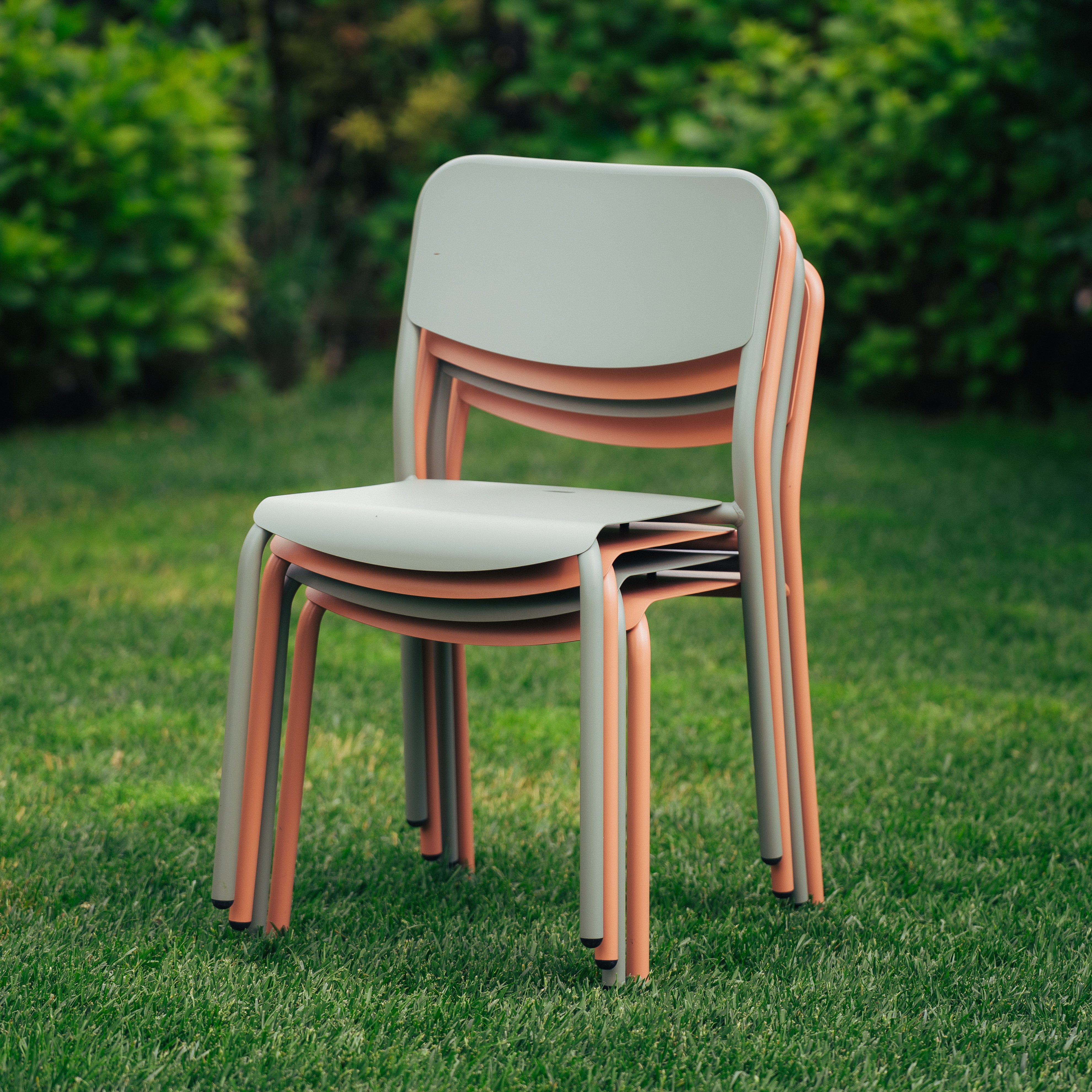 Palmina - Chair