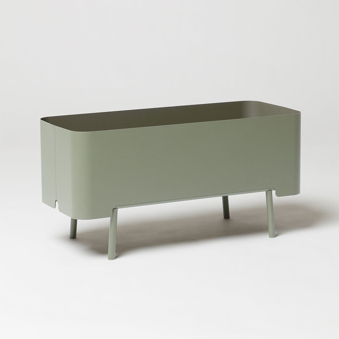 Low Althaea - Plant Pot