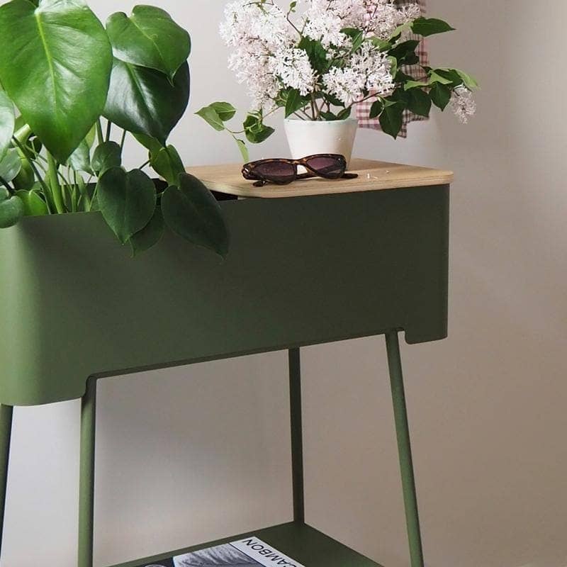 Altea alta – Pflanzgefäß- und Tablett-Set