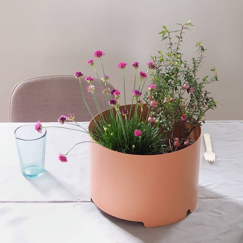 Round Althaea - Planter