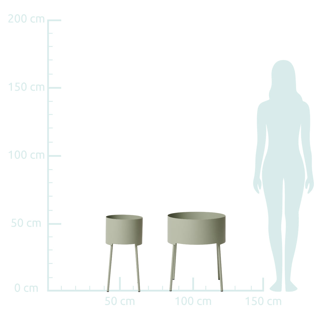 Round Althaea - Planter