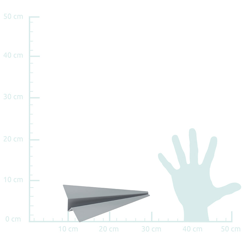 Paper Plane - Paperweight