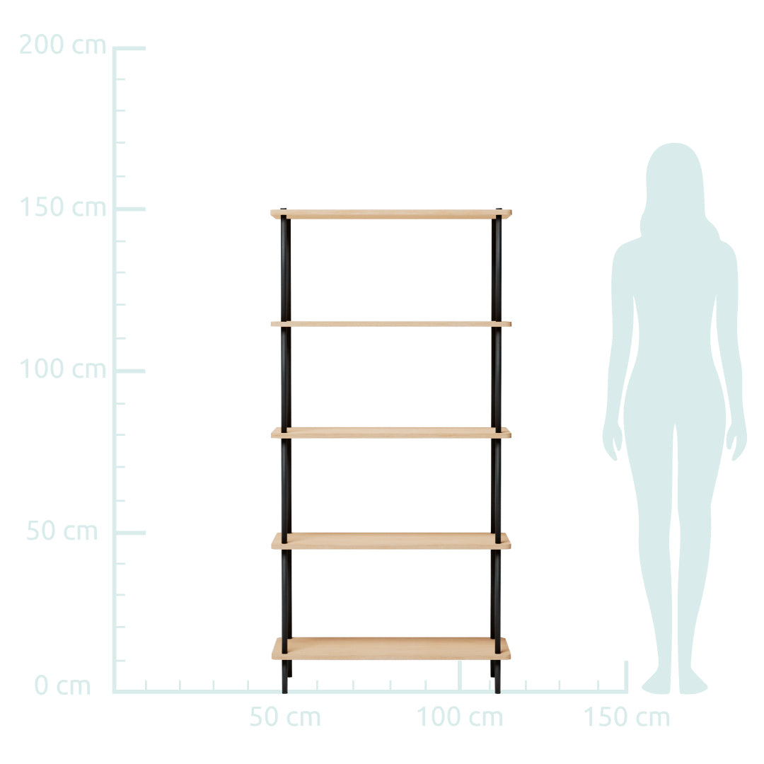 Lisandra - Shelf