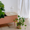 Altea low plant pot set and tray - Cinnamon