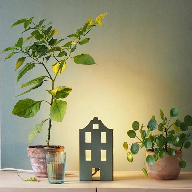 Home Lamp - Fossil Green